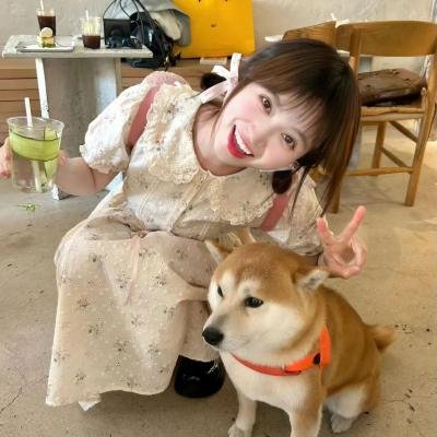 车仔西游记